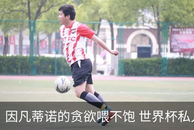 因凡蒂诺的贪欲喂不饱 世界杯私人化致票仓出现裂痕