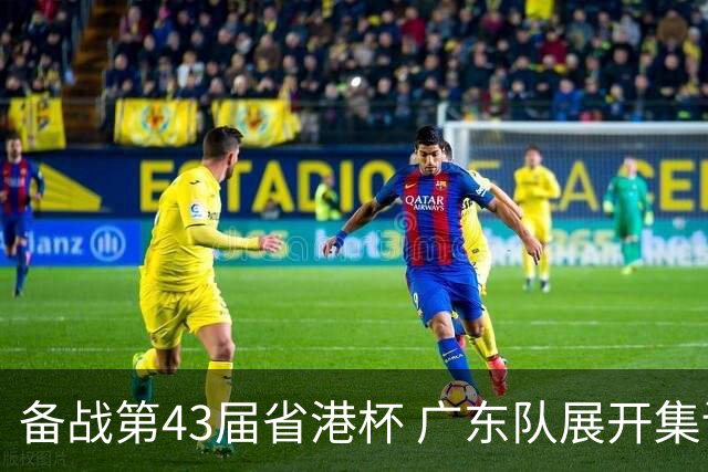 备战第43届省港杯 广东队展开集训 周穗安任主帅